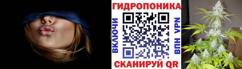 Купить Сунжа Бошки Шишки  mega сайт  Alpha PVP  Гашиш  COCAIN  Мефедрон 