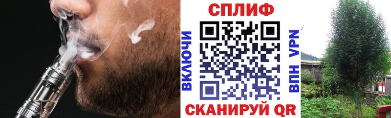 Канабис ГИДРОПОН  Сунжа 